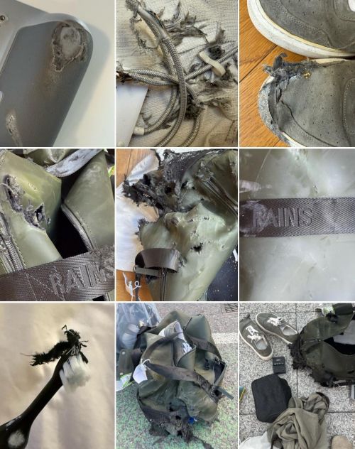 영국의 저가 항공사 라이언에어를 이용한 한 승객이 수하물이 파손됐다며 올린 사진. 해외 온라인 커뮤니티 레딧 캡처