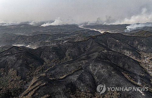 [연합뉴스 제공]