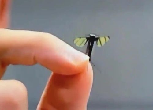 [중국 대하보 캡처. 재판매 및 DB 금지]