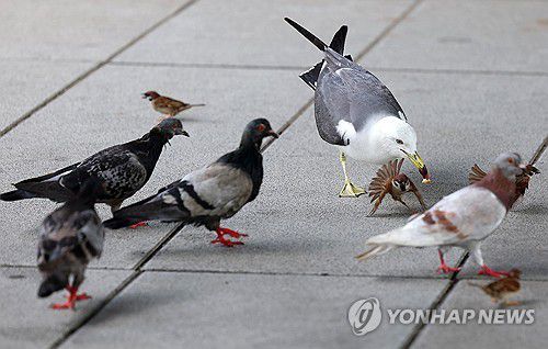 [연합뉴스 제공]