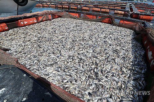 [연합뉴스 자료]