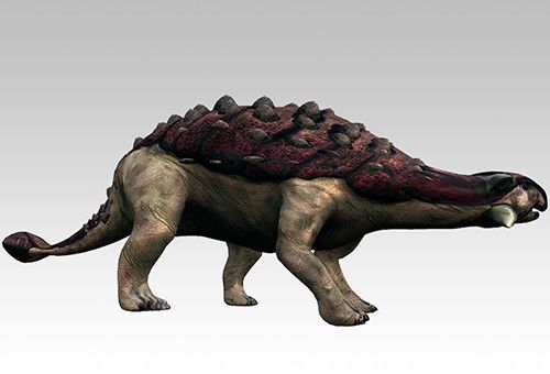 [국립중앙과학관]