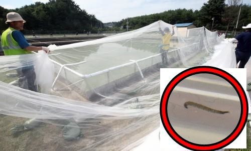 /사진=연합뉴스