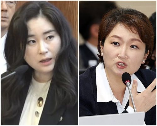 김계리 변호사(왼쪽), 이언주 더불어민주당 최고위원. / 사진=헌법재판소, 연합뉴스