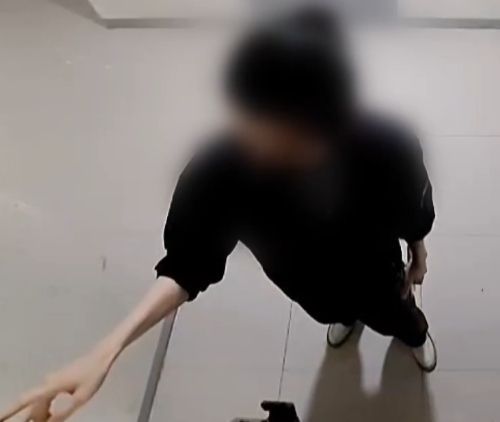 /사진=TV조선 보도 화면