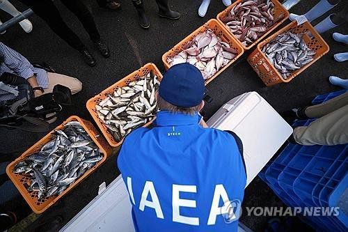 지난해 10월 국제원자력기구(IAEA) 관계자가 일본 후쿠시마산 수산물 조사하고 있다. 연합뉴스