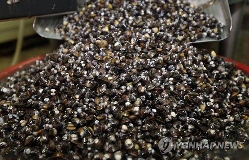 /사진=연합뉴스