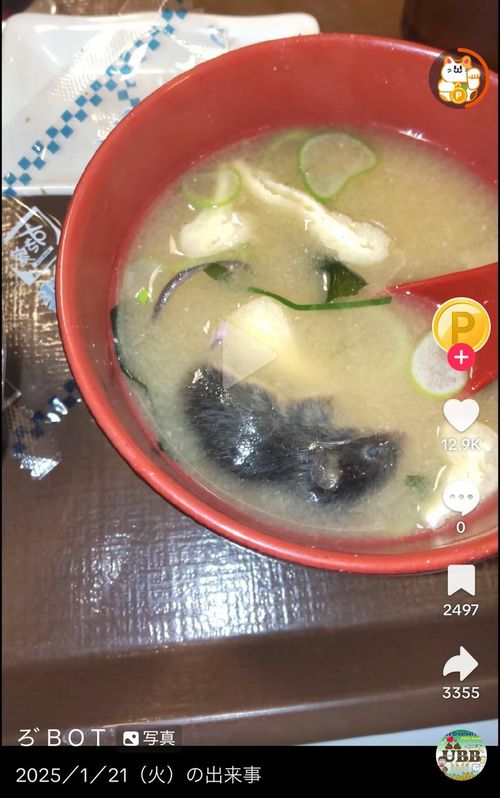 지난 1월 구글리뷰에 올라온 문제의 된장국 사진. [X 캡처]