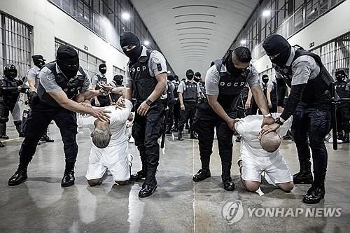 엘살바도르 테러범수용센터에 수감되는 이들. [로이터 = 연합뉴스]