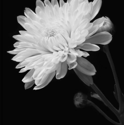 배우 장서희가 故 이상용을 향한 애도의 마음과 함께 어린 시절의 추억을 되새겼다. 사진=장서희 SNS