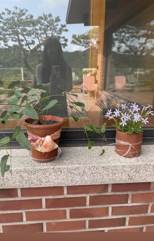 가수 이효리가 또 한 번 ‘힐링 라이프의 교과서’다운 감각을 보여줬다. 사진=이효리 SNS