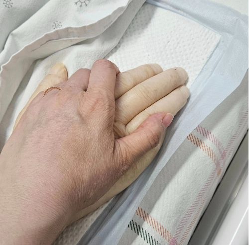 사진 = 김정난 SNS