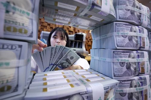 은행 관계자가 외화를 정리하는 모습. [사진 출처 = 연합뉴스]