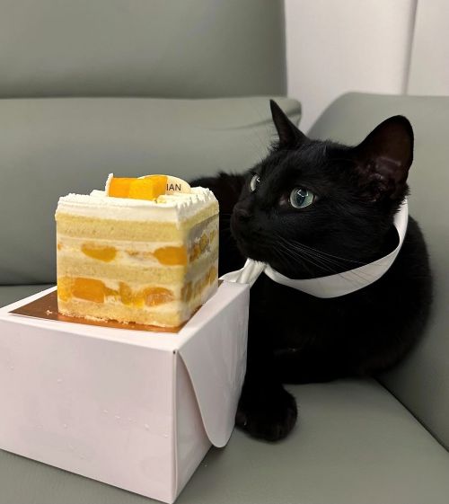 사진 = 박수홍  SNS