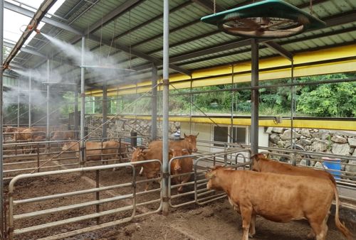 축사 사진. 사진은 위 기사 내용과 직접적 연관 없음. [사진출처=연합뉴스]