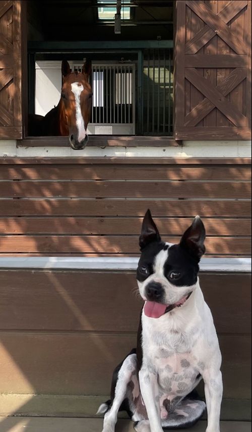 배우 엄정화가 힐링 그 자체인 제주 일상을 공개했다. 사진=엄정화 SNS