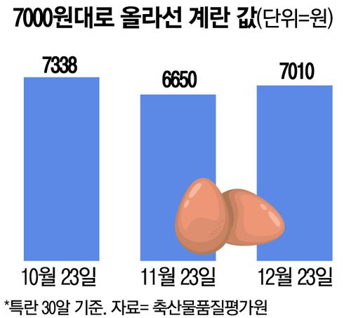 7000원대로 올라선 계란값