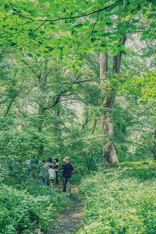성황당 숲을 산책하는 사람들