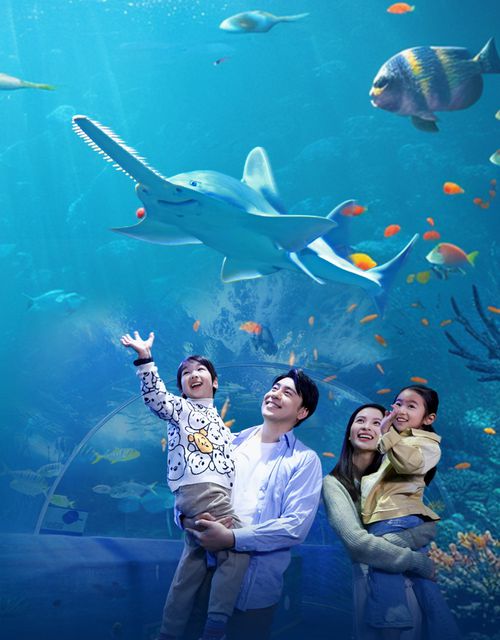 대형 아쿠아리움 ‘칭다오 해저세계’