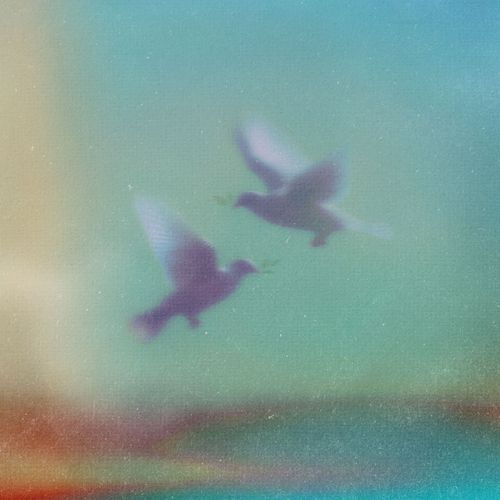 KIK x Dept ‘piece of peace’ 앨범 커버