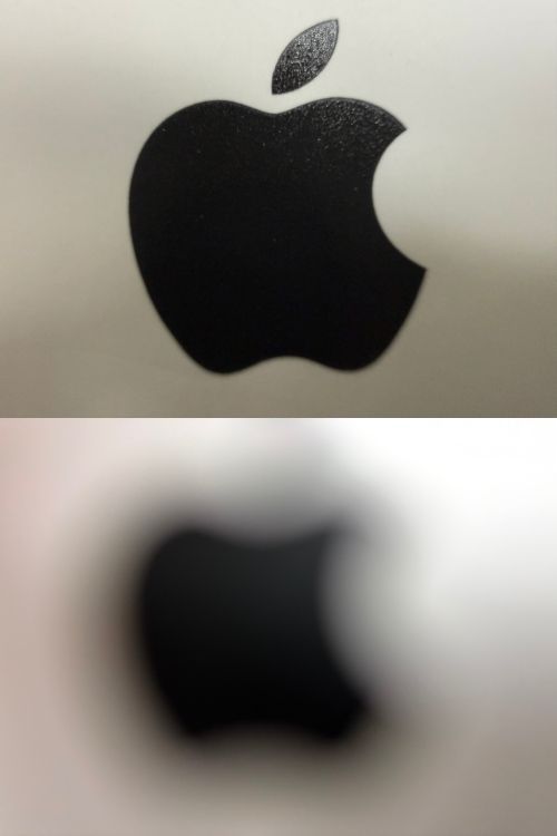 접사 촬영을 지원하는 아이폰 16 프로로 촬영한 근접사진(위쪽)과 접사촬영을 미지원하는 아이폰 에어로 찍은 사진. 이명환 기자