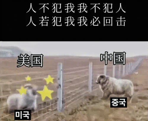 다이빙 주한 중국 대사가 11일 엑스에 올린 영상 장면. /소셜미디어 엑스(X)