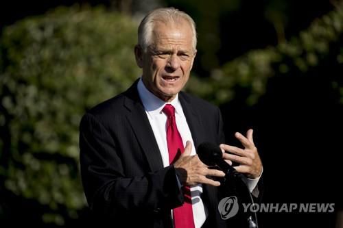 피터 나바로 백악관 무역·제조업 정책국장 [AP=연합뉴스 자료사진]