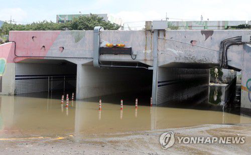 부산 생태공원 지하차도 침수(부산=연합뉴스) 조정호 기자 = 11일 부산 사상구 삼락생태공원 지하차도가 물에 잠겨 차량 통행이 통제되고 있다. 2020.8.11 ccho@yna.co.kr