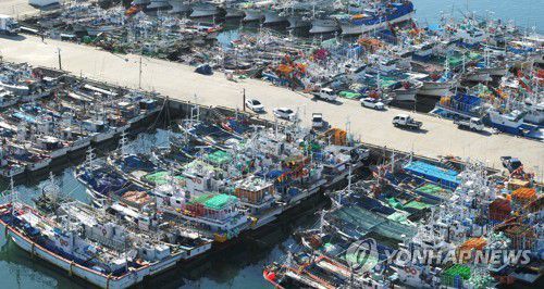 태풍 '바비' 북상에 한림항 '긴장'(제주=연합뉴스) 박지호 기자 = 제8호 태풍 '바비'가 한반도를 향해 북상하는 가운데 25일 오전 제주시 한림항에 긴장감이 고조되고 있다. 2020.8.25 jihopark@yna.co.kr