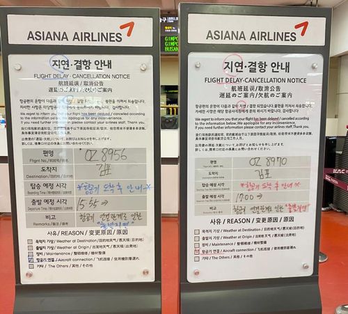아시아나 항공기 지연운항 승객 불편(제주=연합뉴스) 27일 오후 3시 55분 제주에서 김포공항으로 향할 예정인 아시아나항공 OZ8956편과 오후 5시 제주에서 김포로 가는 OZ8970편 항공기가 연이어 지연 운항하면서 승객들이 불편을 겪었다. 2020.8.27 [독자 제공, 재판매 및 DB 금지]