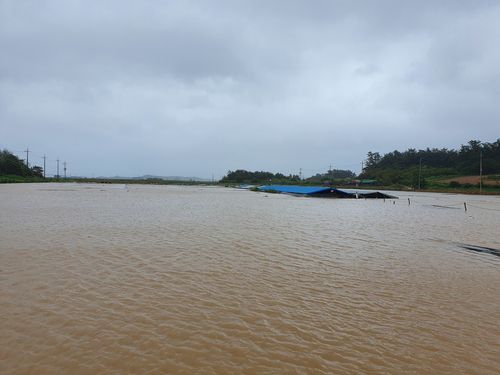 침수된 염전[독자 제공·재판매 및 DB 금지]