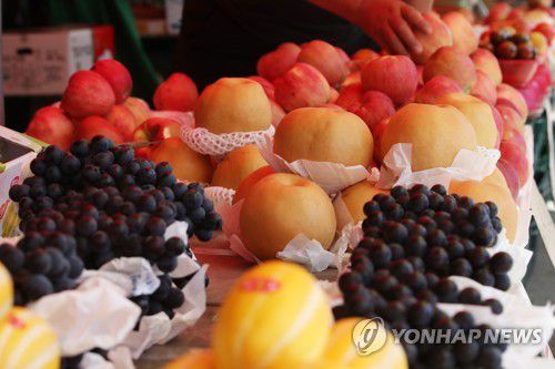 추석 앞둔 과일가게[연합뉴스 자료사진·재판매 및 DB 금지]