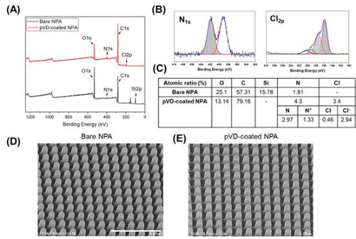 이온성 고분자 박막 코팅에 따른 나노 패턴의 화학적 특성 변화[나노종합기술원 제공. 재판매 및 DB 금지]