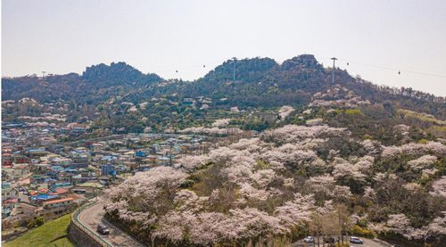 목포 유달산 전경[목포시 제공·재판매 및 DB 금지]