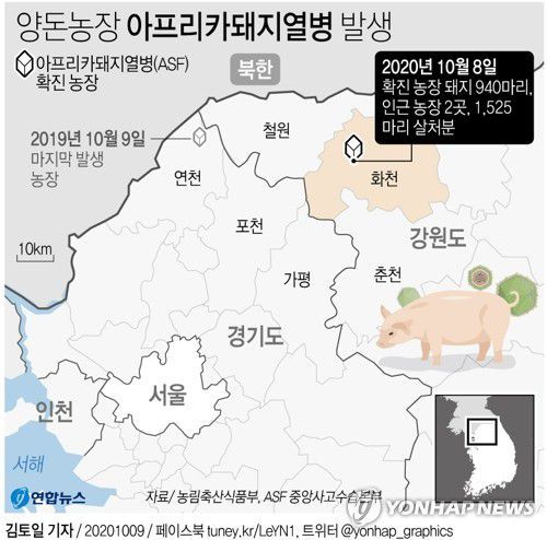 [그래픽] 국내 양돈농장 아프리카돼지열병 발생