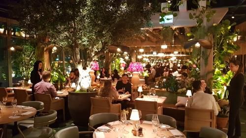 지난 1월 손님들로 가득 찬 런던 '포틴 힐스' 식당(런던=연합뉴스) 박대한 특파원 = 지난해 말 런던 금융 중심가에 문을 연 '포틴 힐스'(14 Hills)는 '모던 브리티시' 식당이다. 2천200 그루의 나무와 식물로 실내를 장식했다. 2020.1.19 pdhis959@yna.co.kr