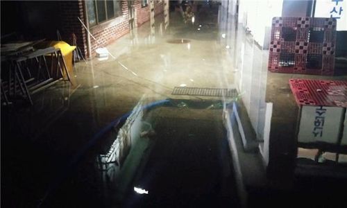 해안로 침수 장면[목포시 제공·재판매 및 DB 금지]