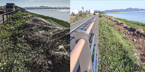 적치 쓰레기[목포시 제공·재판매 및 DB 금지]