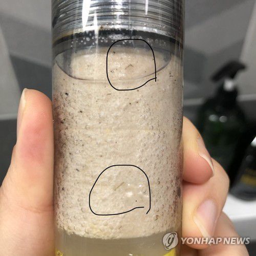 제주에서 발견된 수돗물 유충 [독자 제공. 재판매 및 DB 금지]