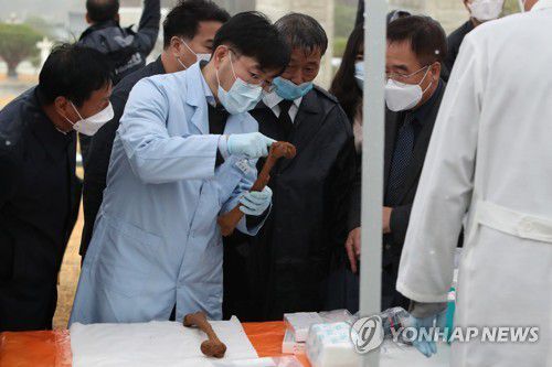 '조그만 가능성이라도'(광주=연합뉴스) 정회성 기자 = 19일 오전 광주 북구 운정동 국립 5·18민주묘지에서 '무명열사'의 유골을 채취하는 작업이 이뤄지고 있다. 5·18진상규명조사위원회는 무명열사의 묘에서 채취한 희생자 유골 3기의 DNA를 행방불명자 가족찾기 혈액 채취 신청자와의 유전자형을 비교해 신원을 확인할 예정이다. 2020.11.19 hs@yna.co.kr