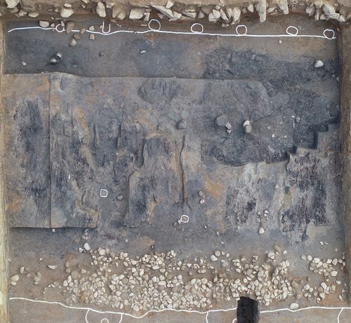 2∼3토루 사이에서 확인된 부석시설 및 목재·나뭇잎층[국립강화문화재연구소 제공. 재판매 및 DB 금지]