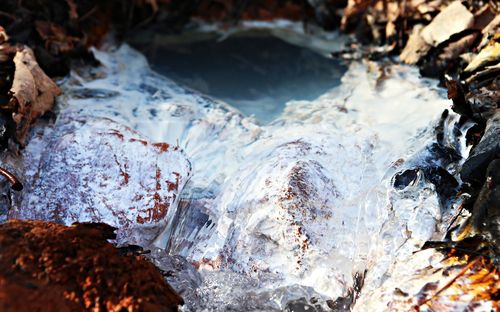 갱내수 흘러나오는 태백시 지지리골 자작나무 숲 옆 구멍 [촬영 배연호]