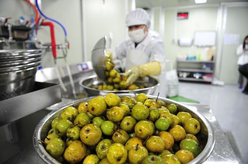 화천군 농산물가공지원센터 [화천군 제공.재판매 및 DB 금지]