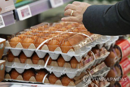 달걀 살까 말까(서울=연합뉴스) 강민지 기자 = 고병원성 조류인플루엔자(AI) 확산으로 달걀 가격이 오른 15일 서울의 한 대형마트에서 시민이 장을 보고 있다. 2021.1.15 mjkang@yna.co.kr