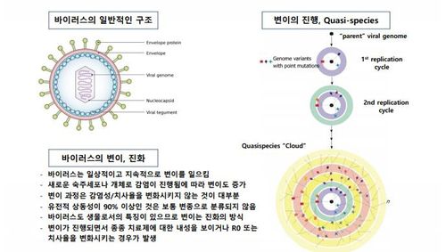 바이러스 변이주와 돌연변이 출현[한국과학기자협회 제공. 재판매 및 DB 금지]