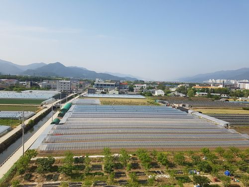 부산 강서구 대저동 전경[촬영 조정호]