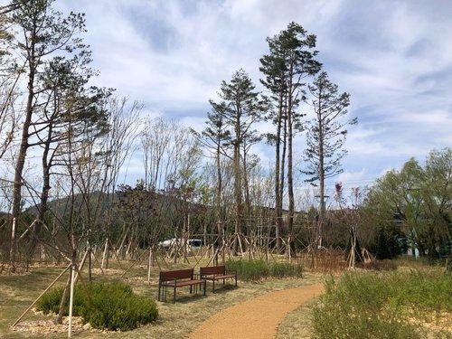 원주 문막산업단지에 미세먼지 저감 숲 조성[연합뉴스 자료사진]