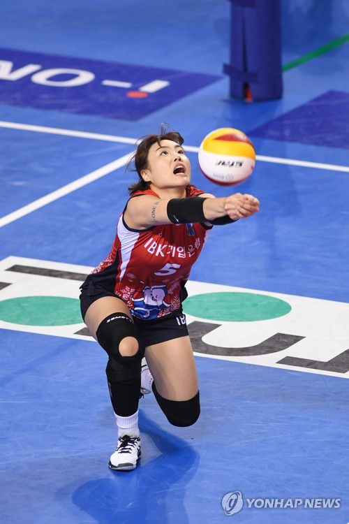 리시브 하는 김하경[기업은행 배구단 제공. 재판매 및 DB 금지] photo@yna.co.kr