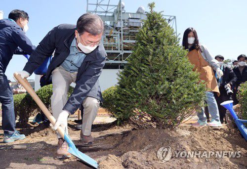 나무 심는 문재인 대통령(서울=연합뉴스) 최재구 기자 = 문재인 대통령이 5일 마포구 서울복합화력발전소에서 열린 제76회 식목일 기념행사에서 상지초등학교 유채림 학생과 나무를 심고 있다.  jjaeck9@yna.co.kr