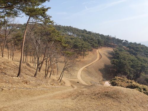 정비 후 탐방로 모습[문화재청 제공. 재판매 및 DB 금지]
